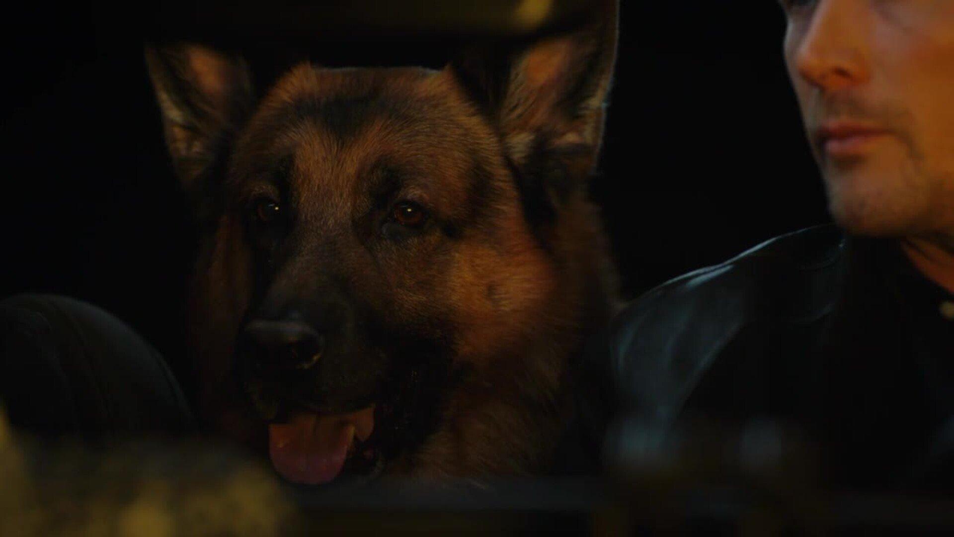 Still from Blood & Diamonds