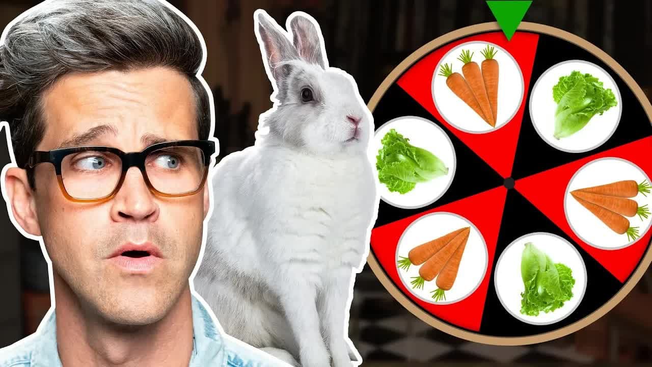 Still from Can We Bet On What This Bunny Wants? (GAME)