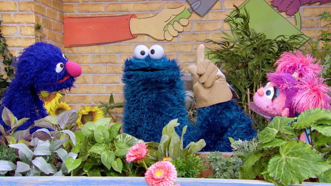 Still from Sesame Street's Lost And Found