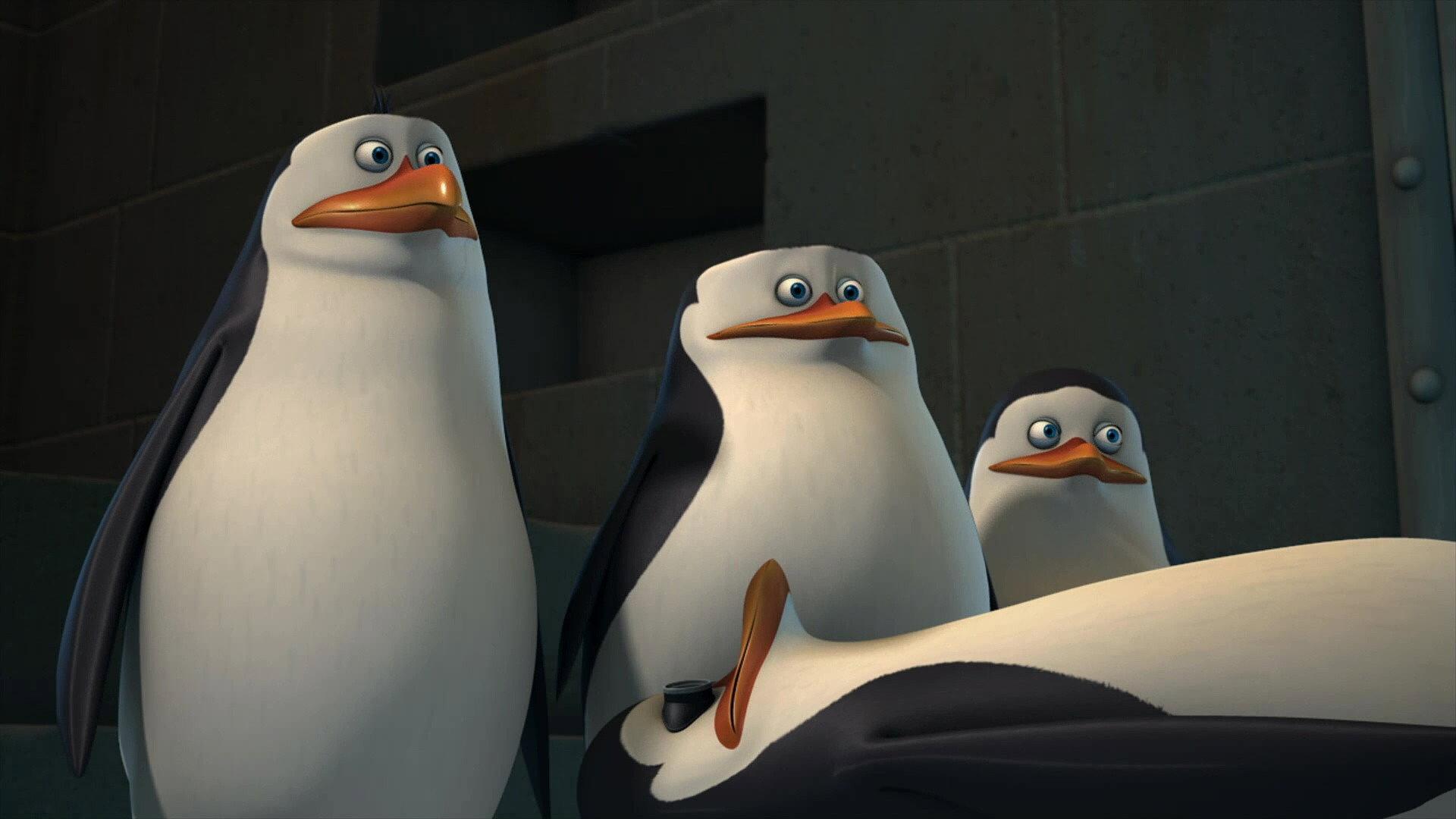 Still from Endangerous Species