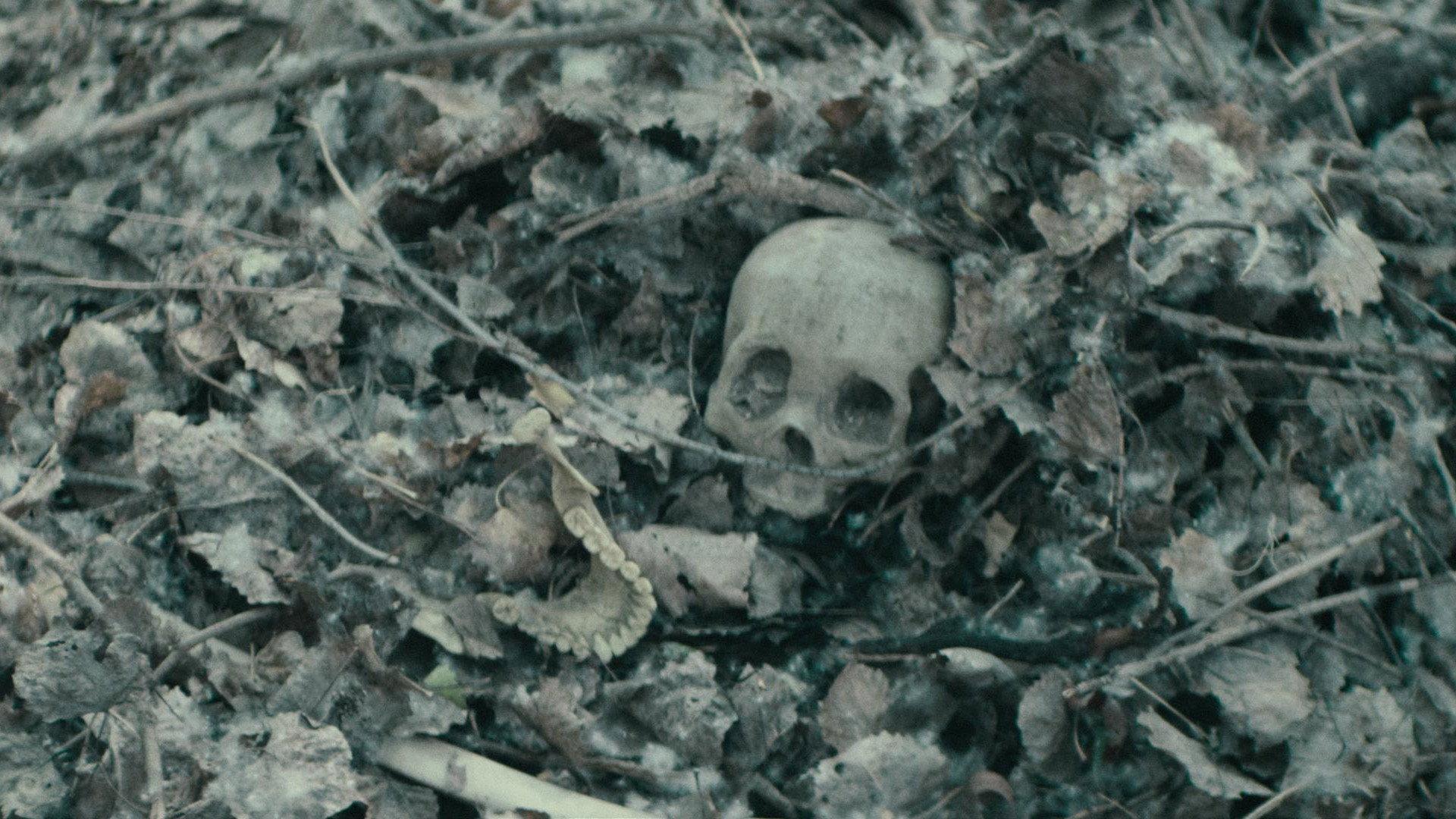 Still from Corpus Delicti