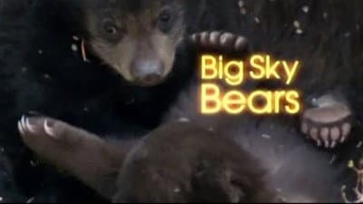 Still from Big Sky Bears