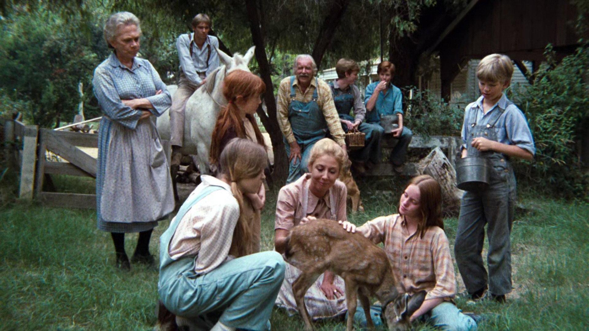 Still from The Fawn