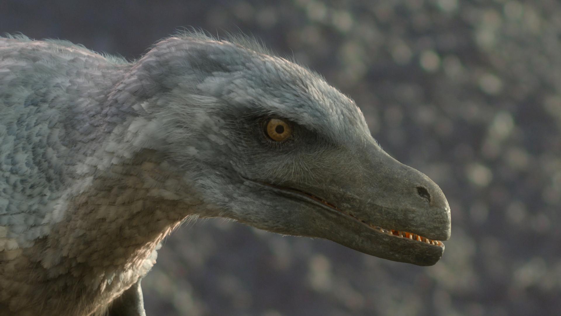Still from Uncovered: Did Velociraptor Have Feathers?