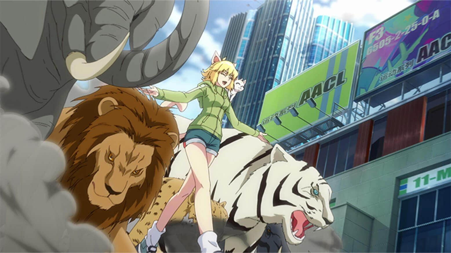 Still from Miaowu