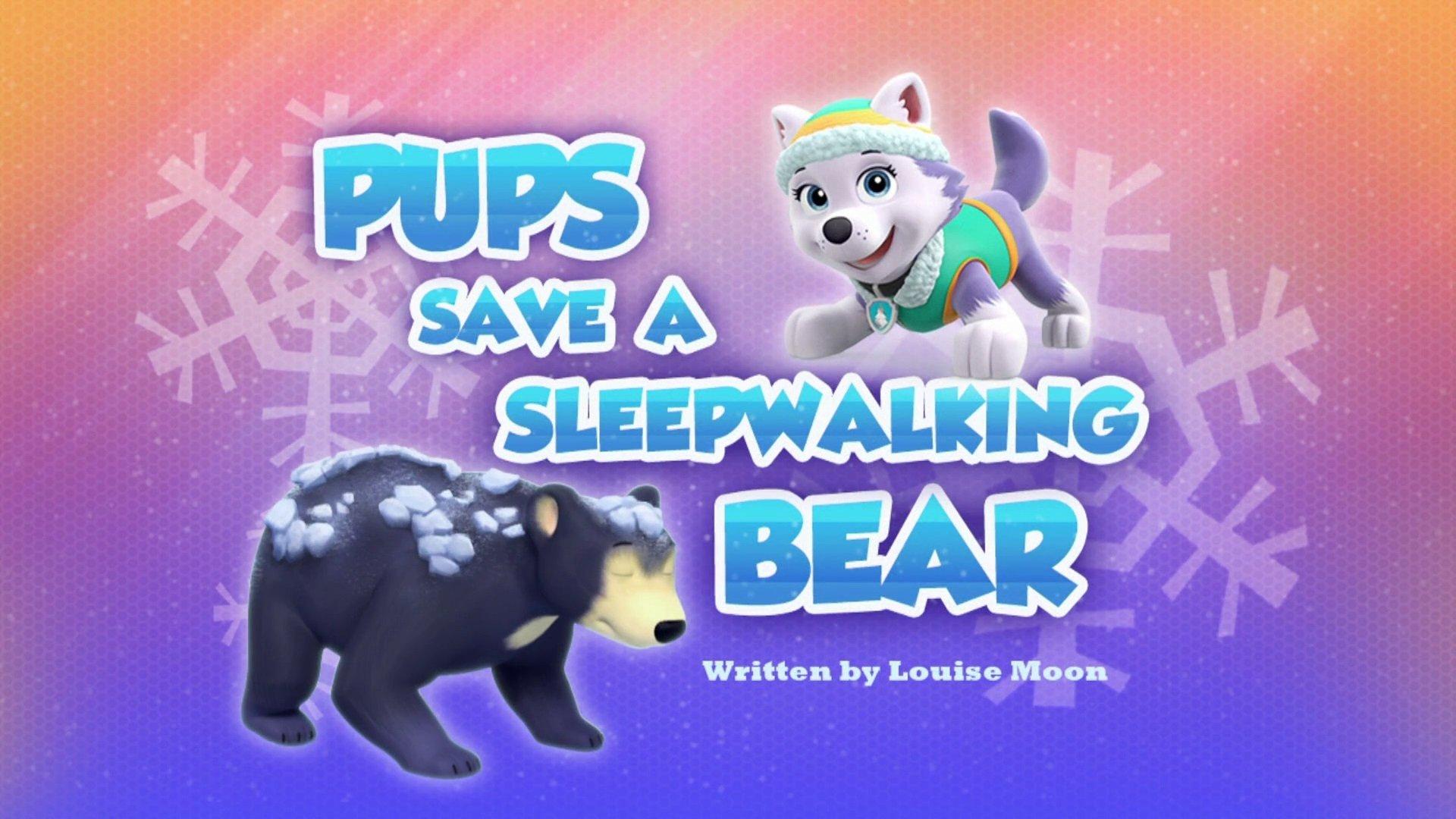 Still from Pups Save a Sleepwalking Bear