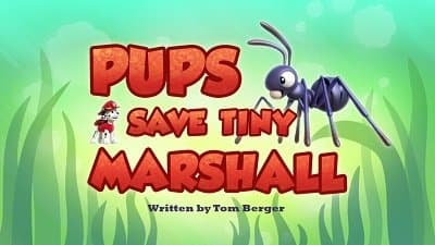 Still from Pups Save Tiny Marshall