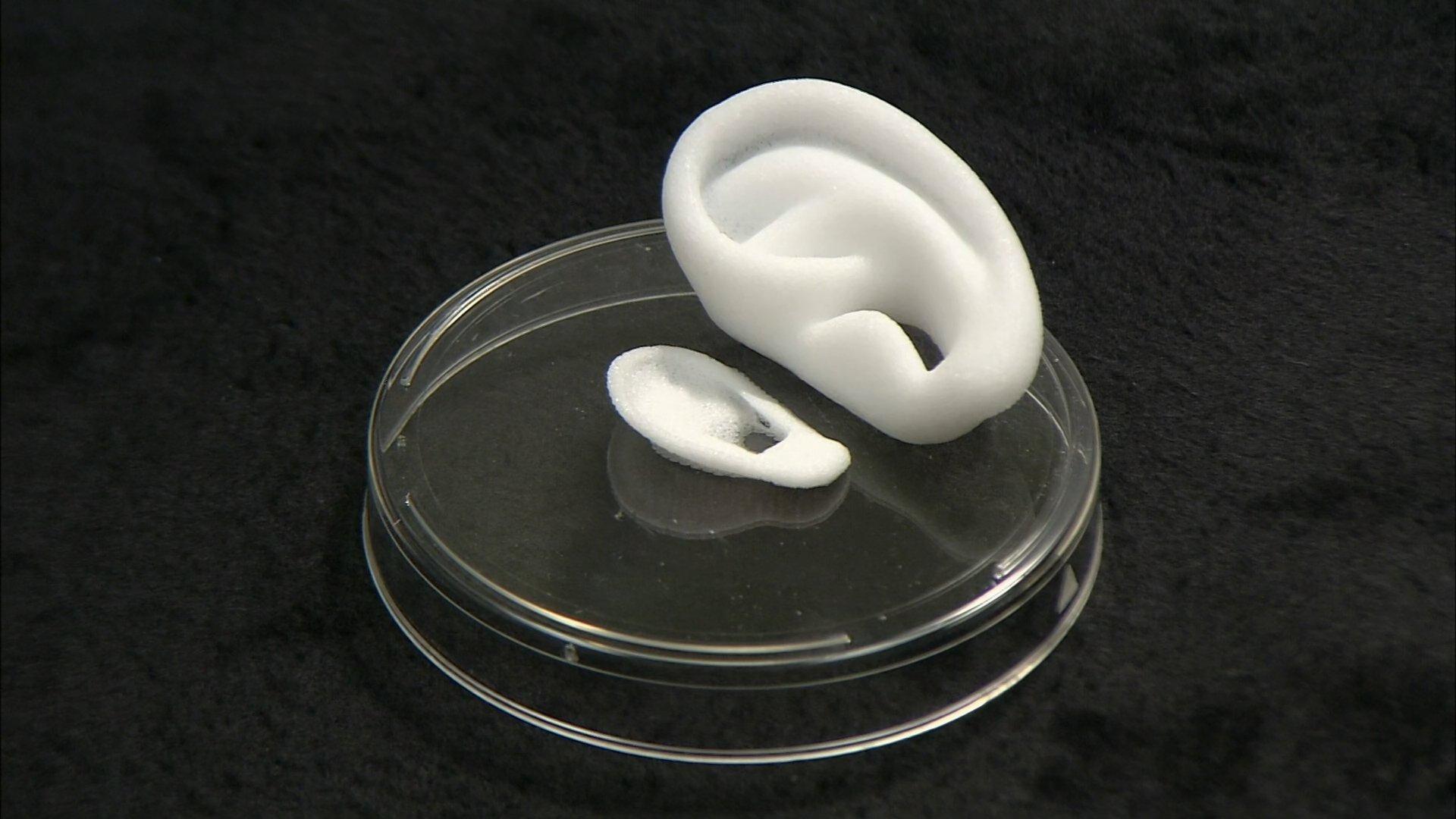 Still from Decorative Sombreros, Salad Dressings & Marinades, Cap Guns, Regenerative Medicine