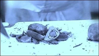 Still from 2 Chefs Compete