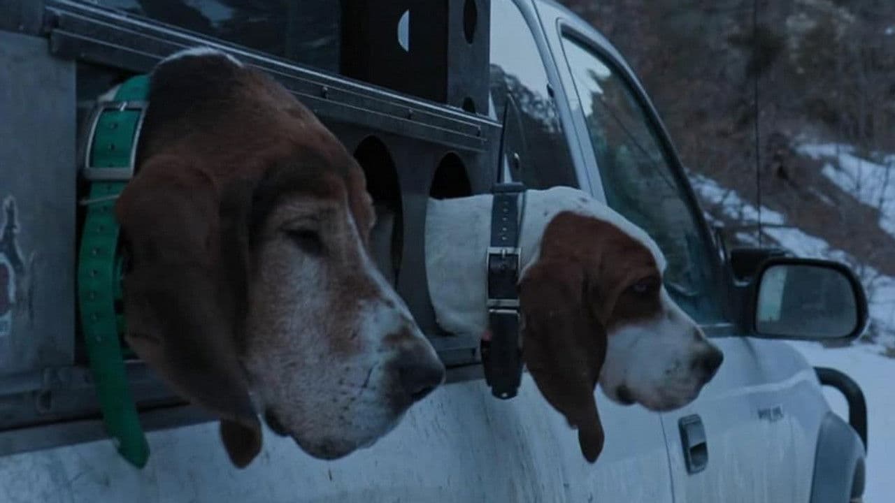 Still from Proving Grounds