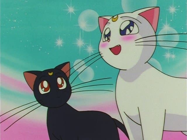 Still from Much Ado About Kitten
