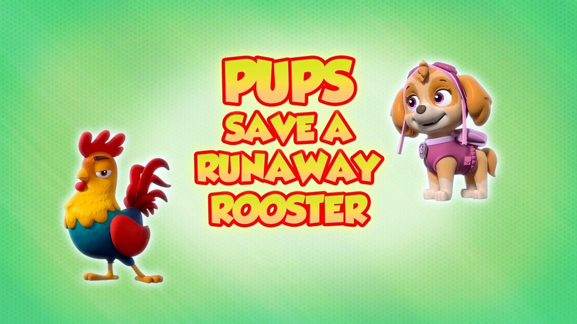 Still from Pups Save a Runaway Rooster