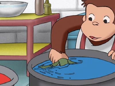 Still from The Color of Monkey