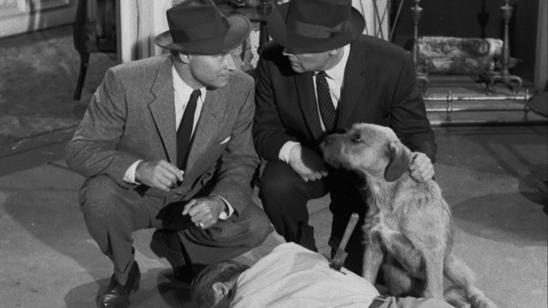 Still from The Case of the Sun Bather's Diary