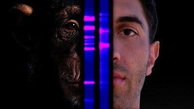 Still from Is There a Superior Race?