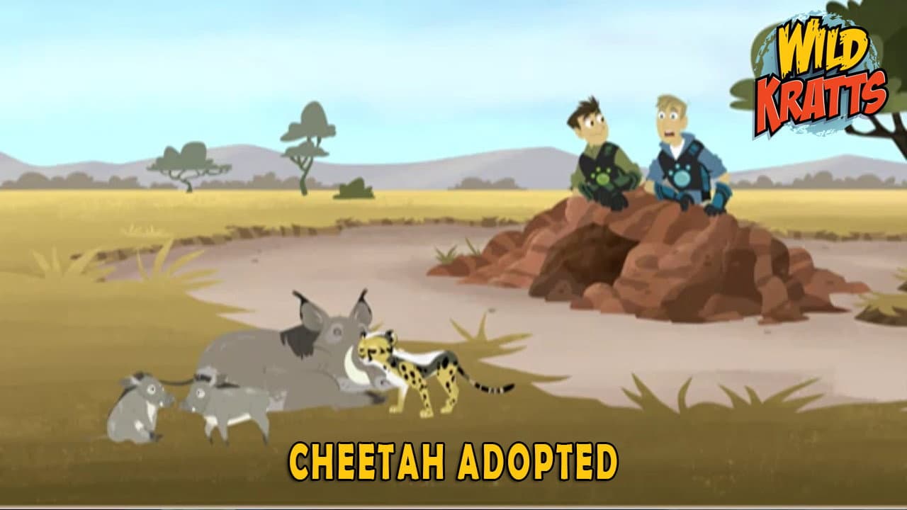 Still from Cheetah Adopted