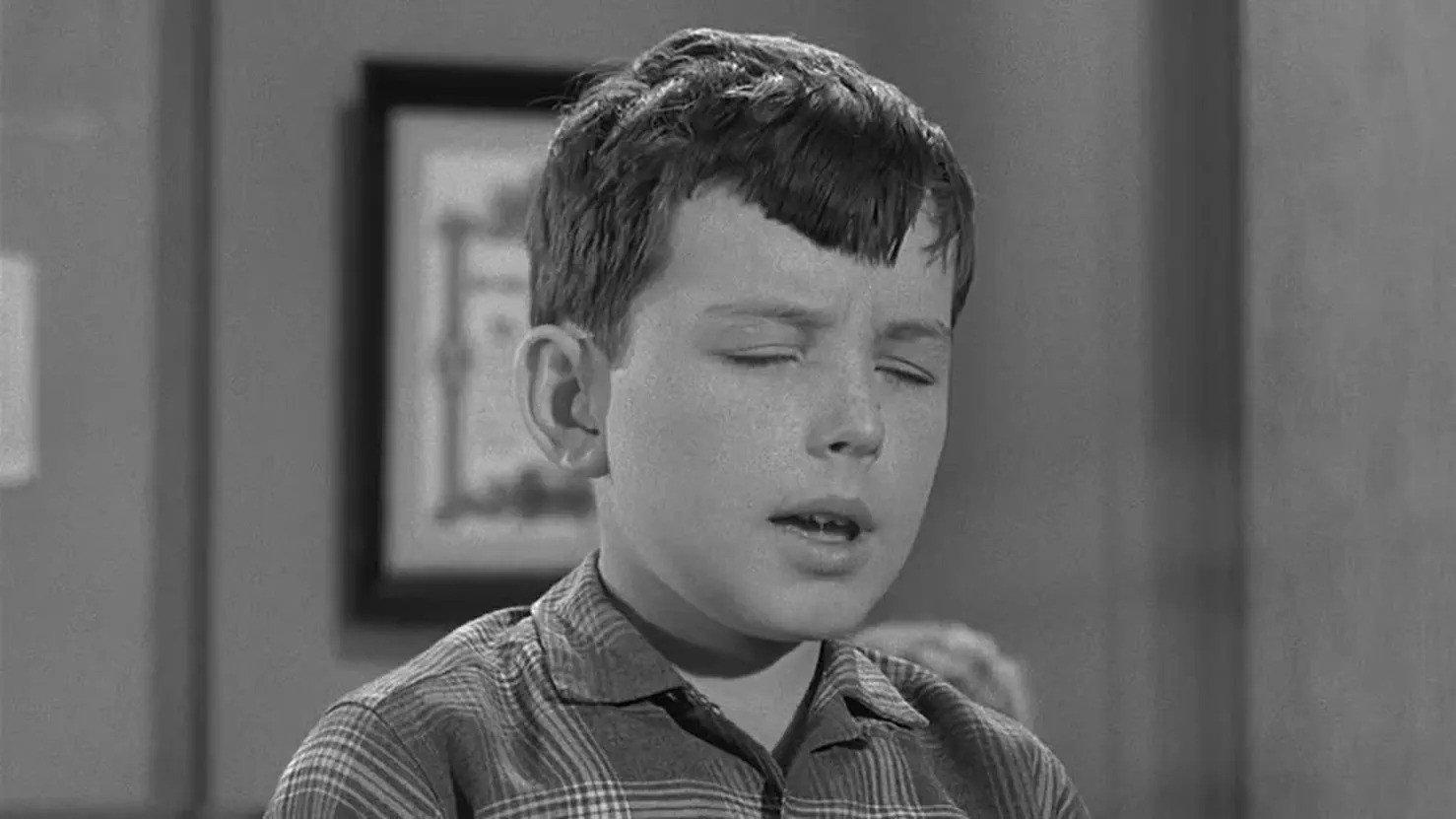 Still from Pet Fair