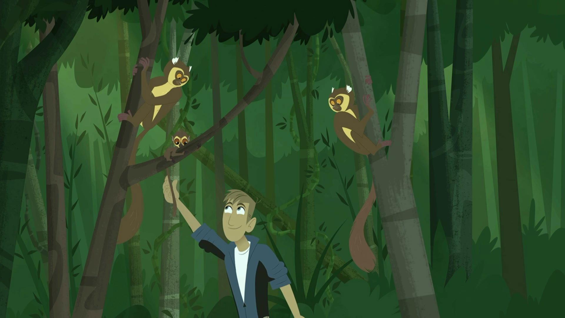 Still from Golden Bamboo Lemur