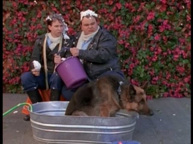 Still from Every Dog Has His Day