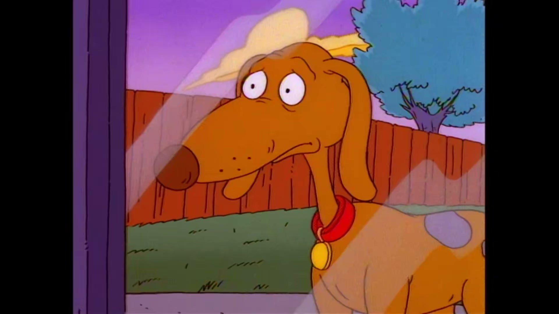 Still from A Dog's Life