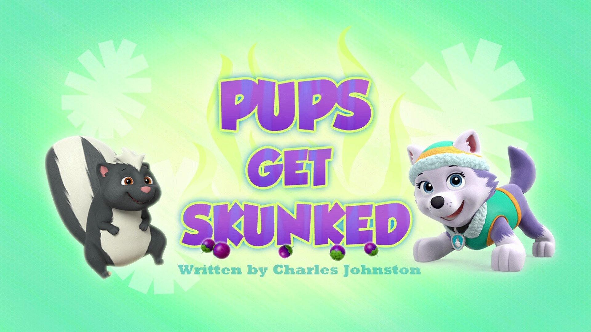 Still from Pups Get Skunked