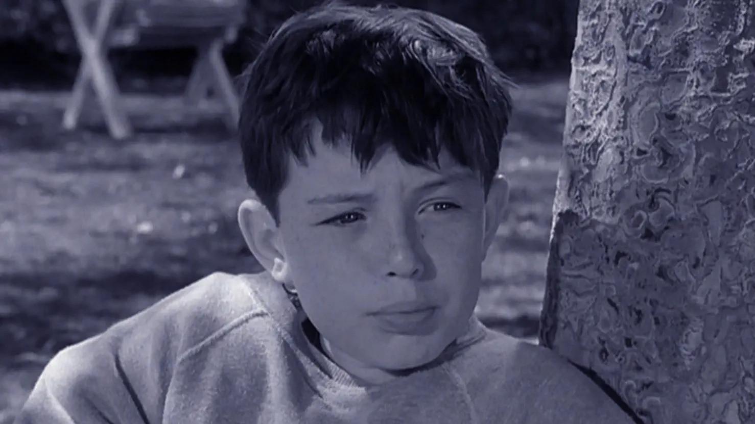 Still from Beaver's Team