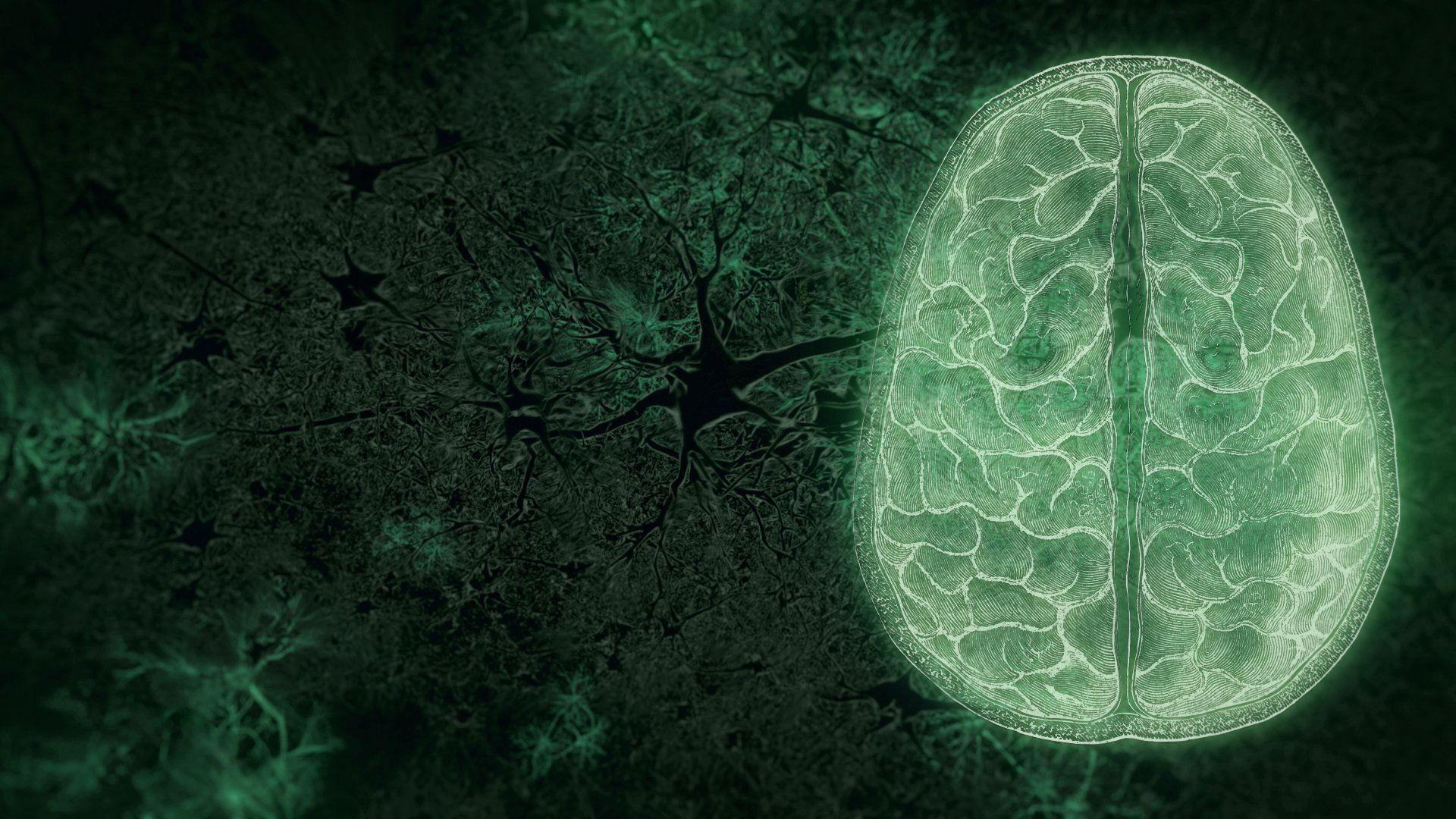 Still from Your Brain: Who's in Control? (2)