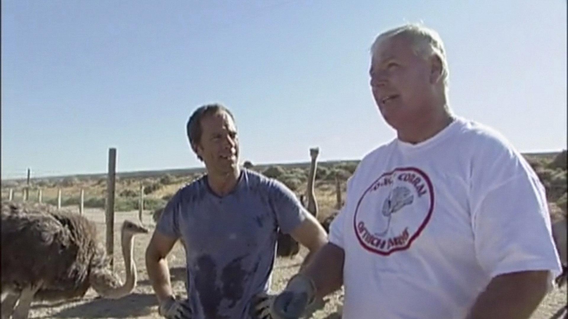 Still from Ostrich Farmer