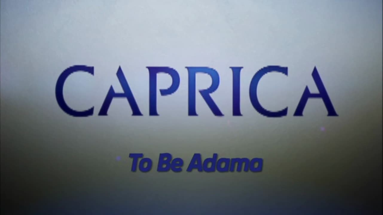 Still from Video Blogs: To Be Adama