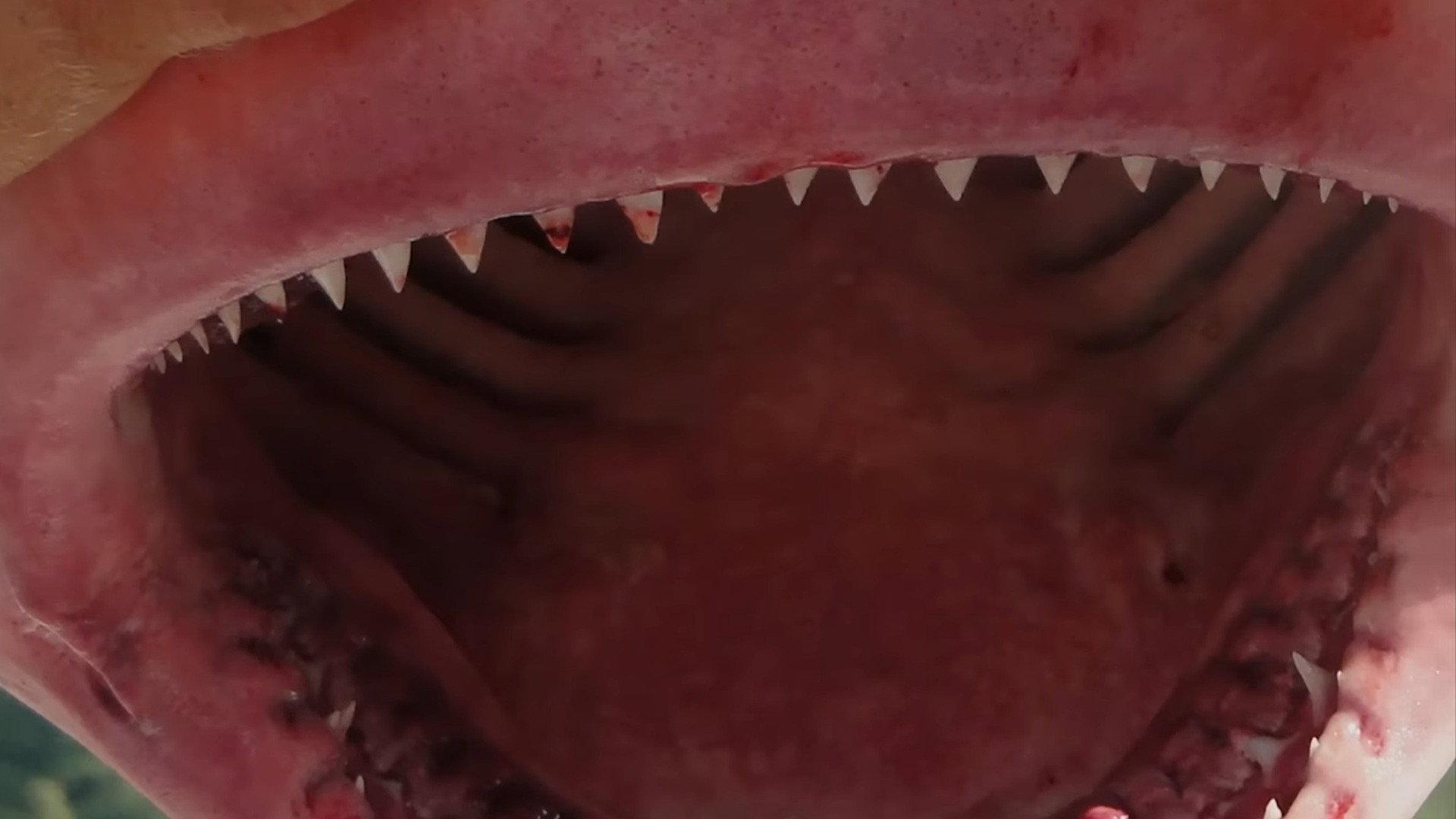 Still from The Deadliest