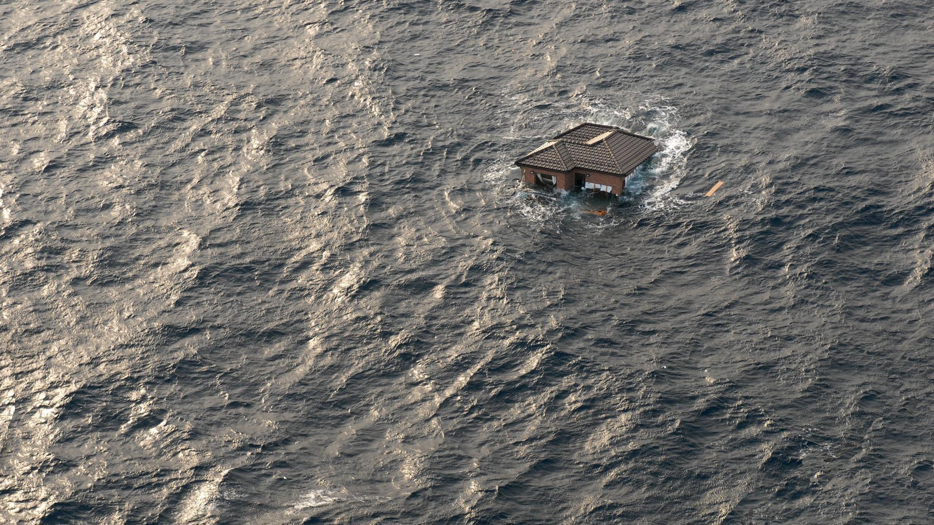 Still from Surviving the Tsunami