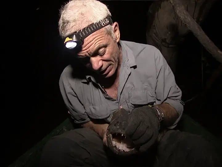 Still from Jungle Killer