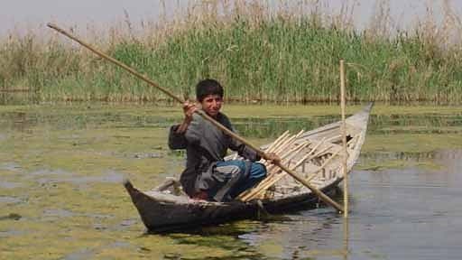 Still from Miracle in the Marshes of Iraq