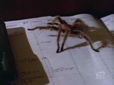 Still from Possession / Man Out of Time