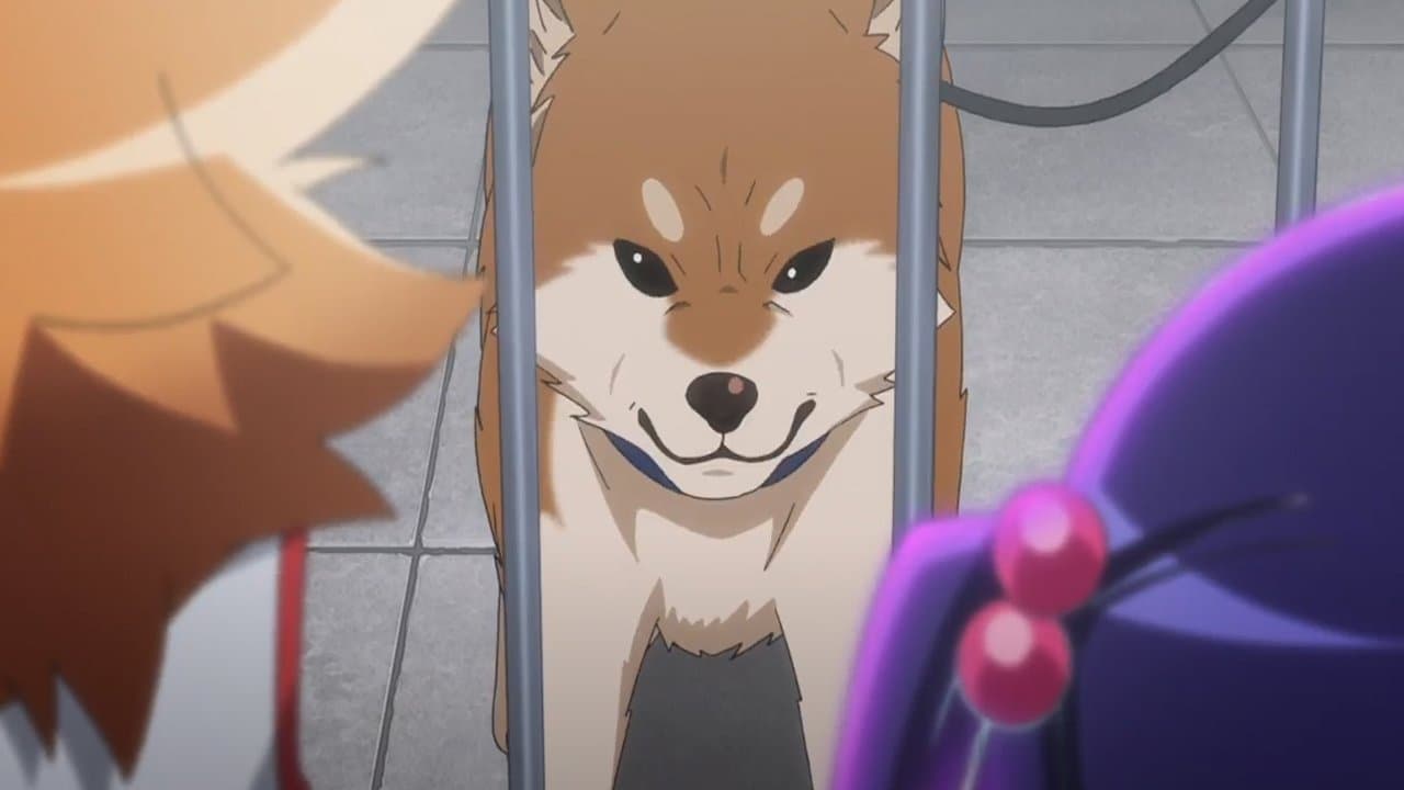 Still from I Want to Become Popular / First Errand / Idol Activities