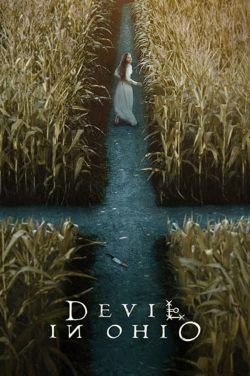 Limited Series poster