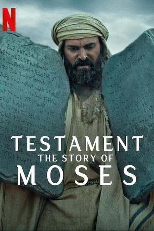 Miniseries poster