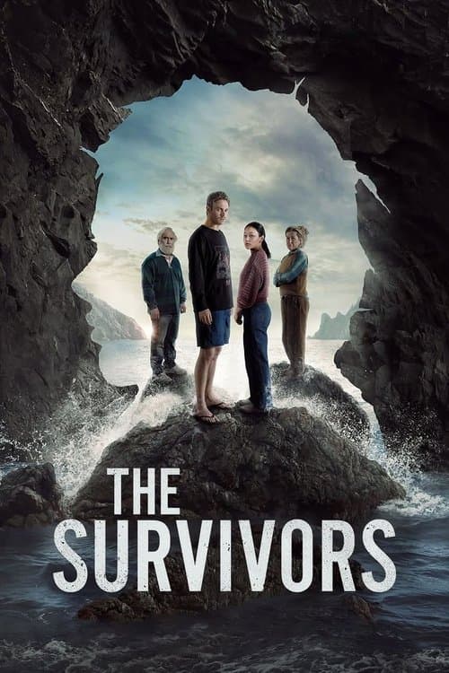 Limited Series poster