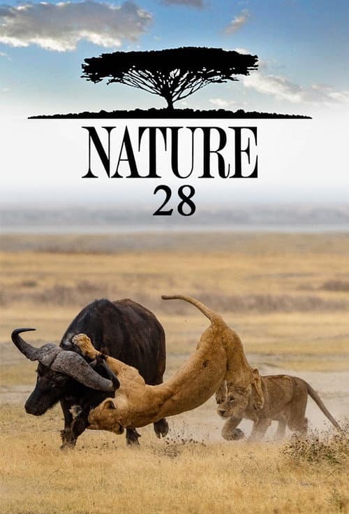 Season 28 poster