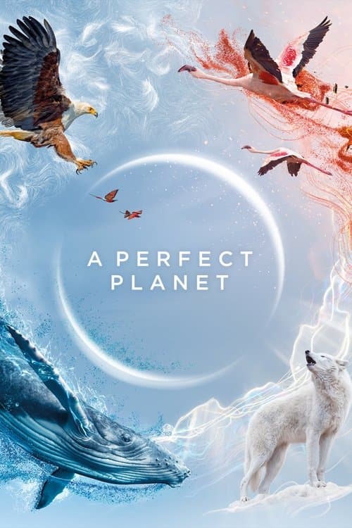Miniseries poster