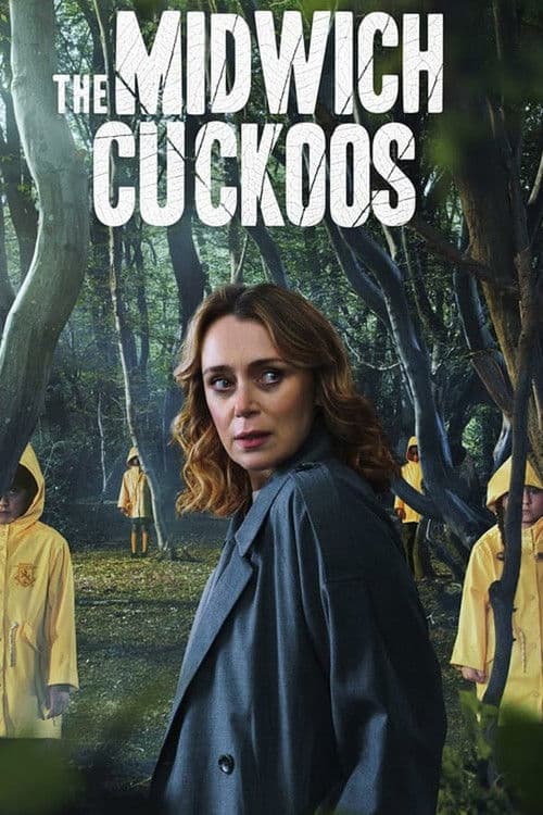 Miniseries poster