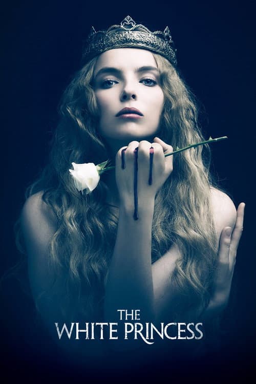 Miniseries poster
