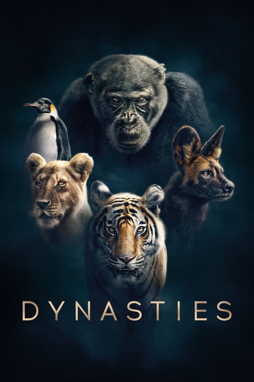 Dynasties poster