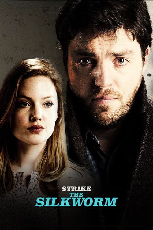 The Silkworm poster