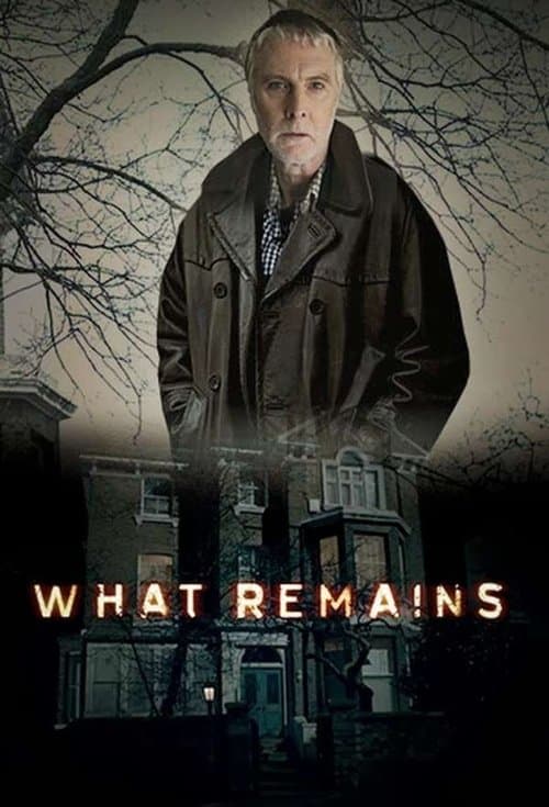 Miniseries poster