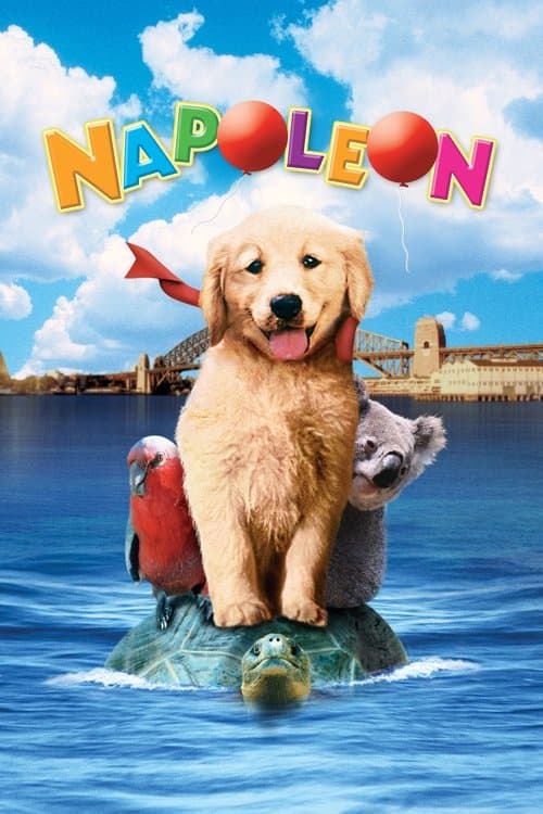 Napoleon poster