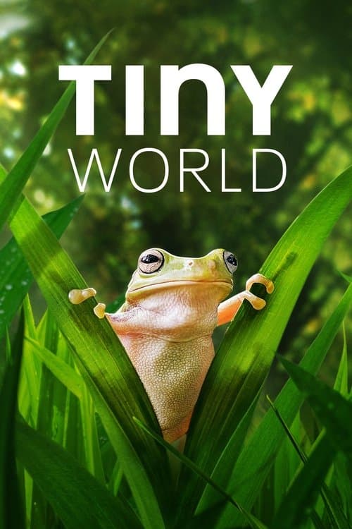 Season 2 poster