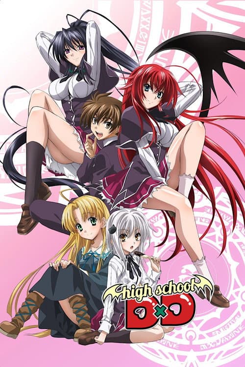 High School DxD poster
