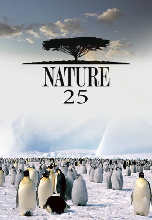 Season 25 poster