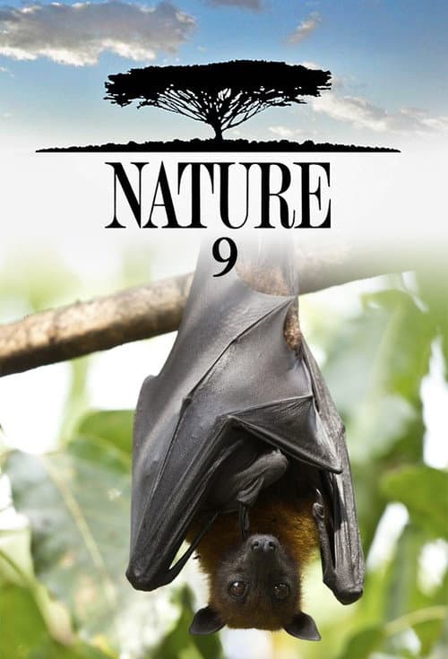 Season 9 poster